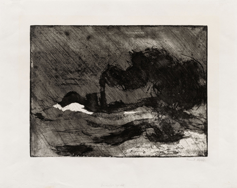 Nolde_DSC2694_350
